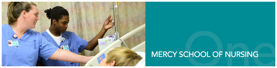 banner-education-mson