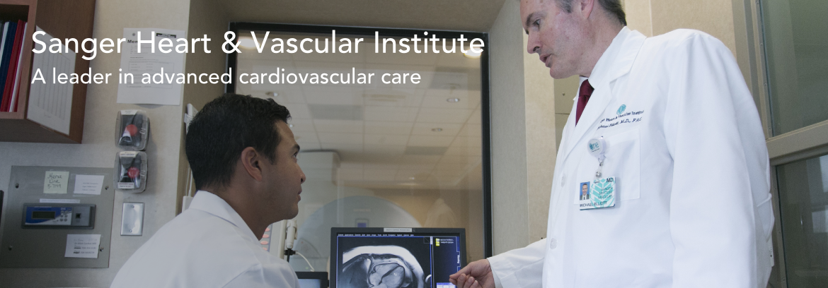 for-providers-hero-shvi