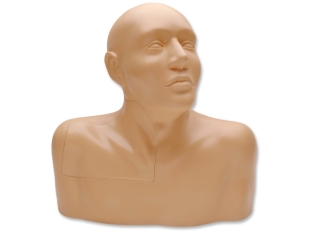 Blue Phantom, manufacturer of this Central Venous Access Head, Neck & Upper Torso Ultrasound Training Model 