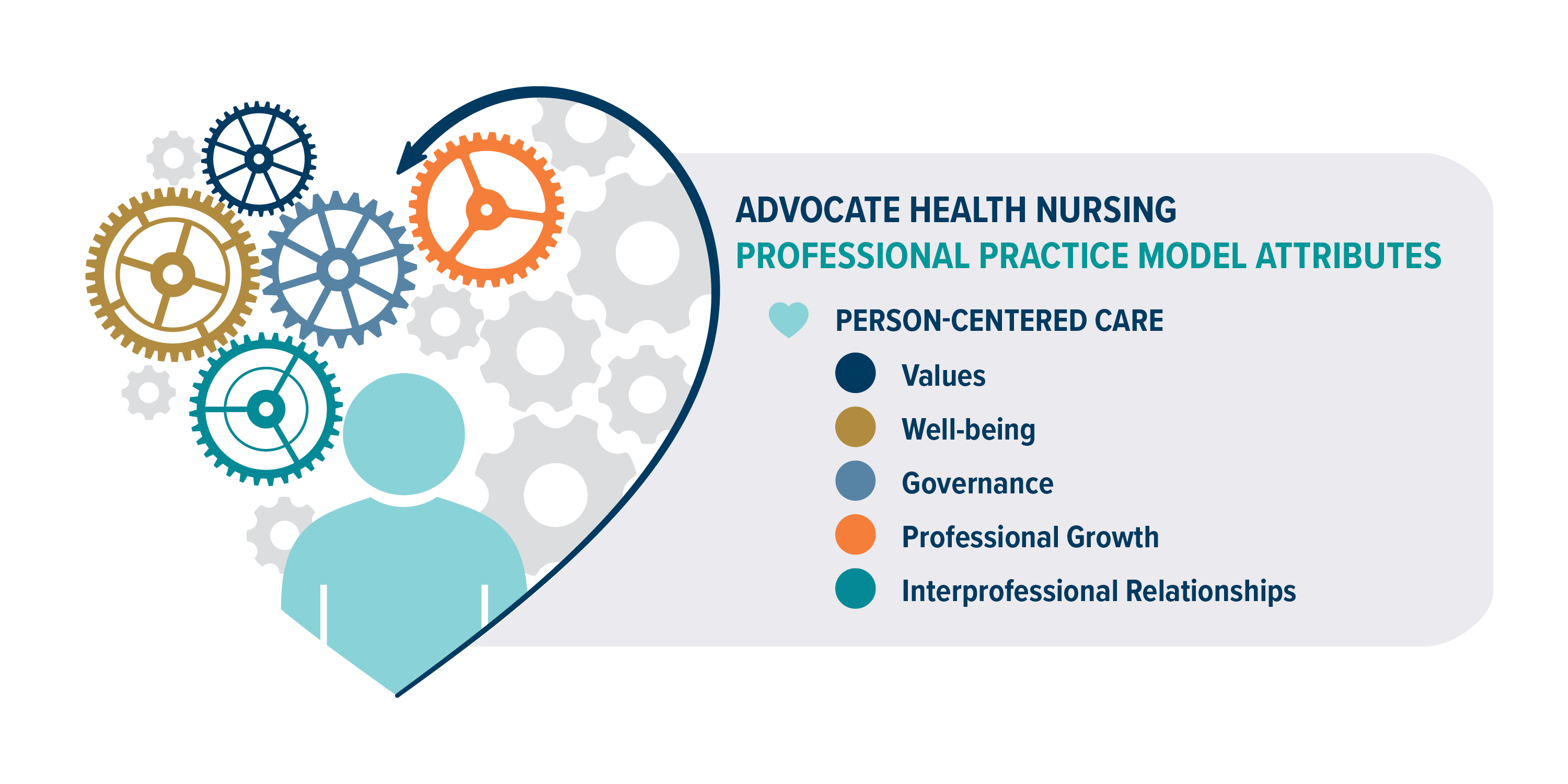 Professional Practice Model