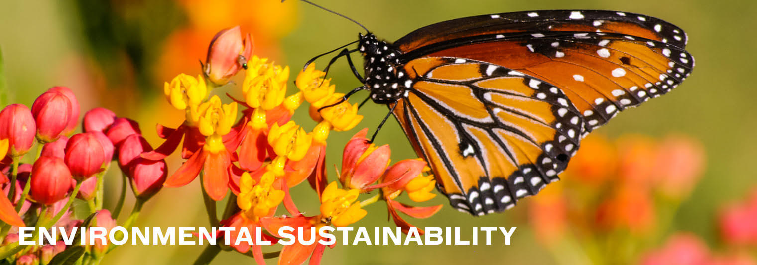 Environmental Sustainability