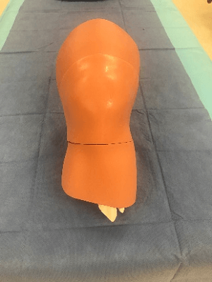 Arthrocentesis Model