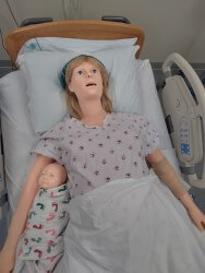 VICTORIA simulation equipment