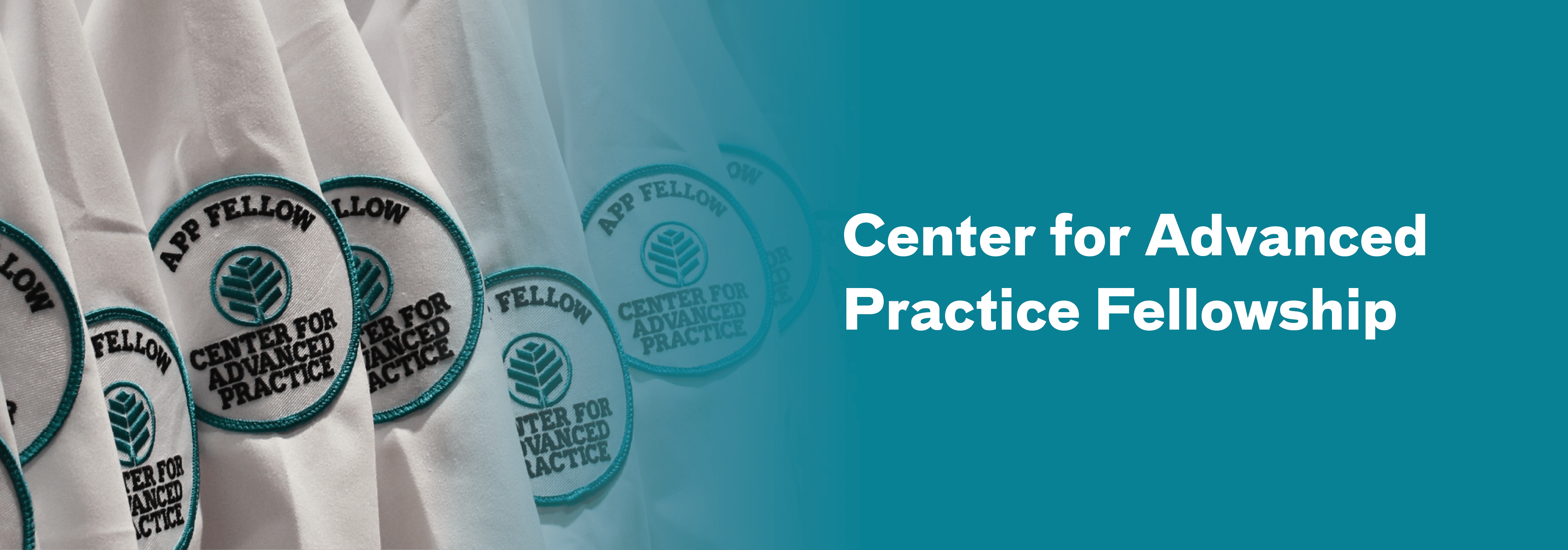 Center for Advanced Practice Fellowship