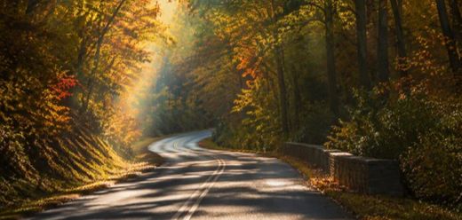 Cabarrus Family Medicine Rural Track_520x248