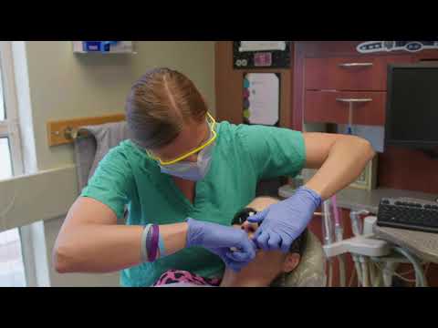 Opportunity and Variety: A Perspective from Our Faculty