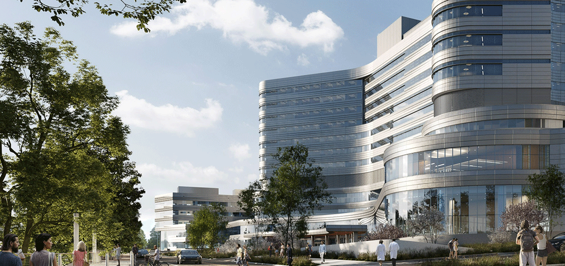 CMC Expansion Rendering