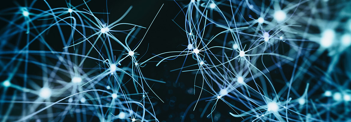 Neurology Banner Image