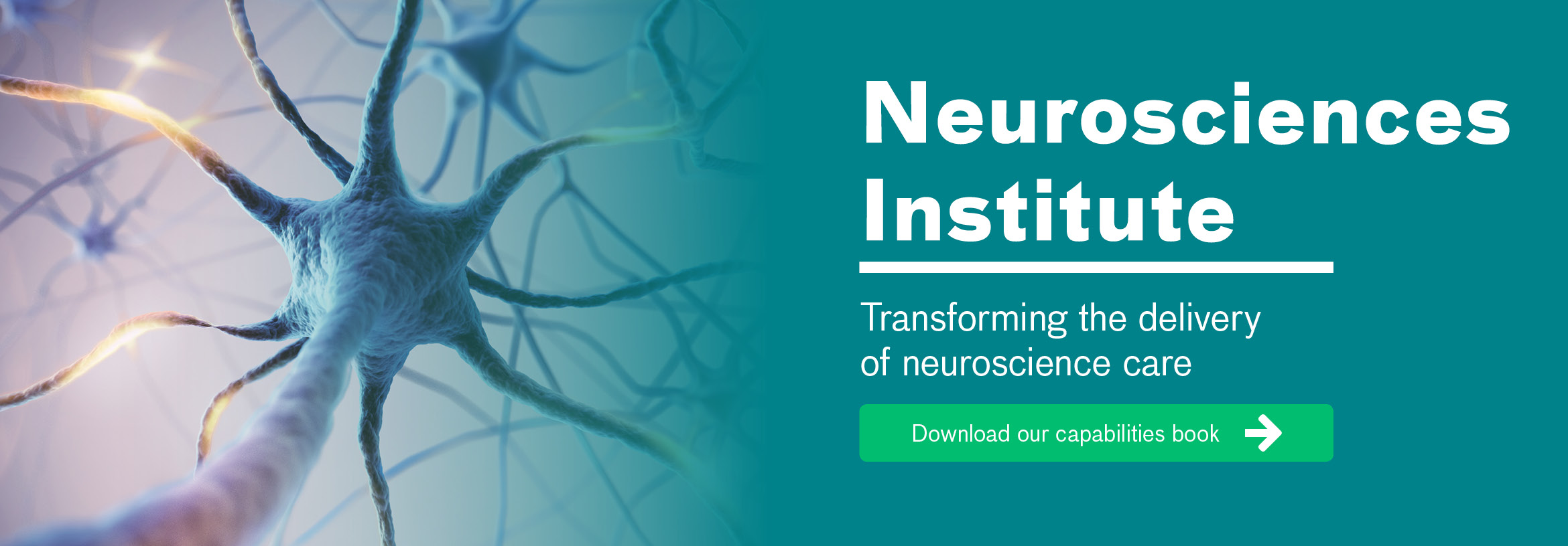 Neuroscience Experts | Neurosciences Institute