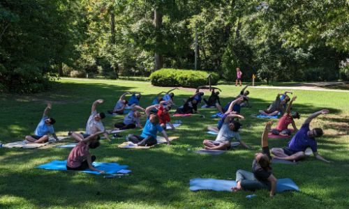 Photo of Urology residents during yoga outside on green grass and yoga mats.