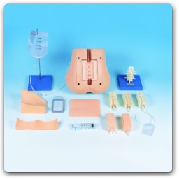 Lumbar Puncture Trainer