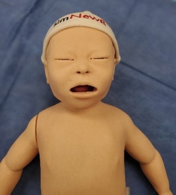 SimNewB Baby Simulation