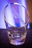 Levine trophy