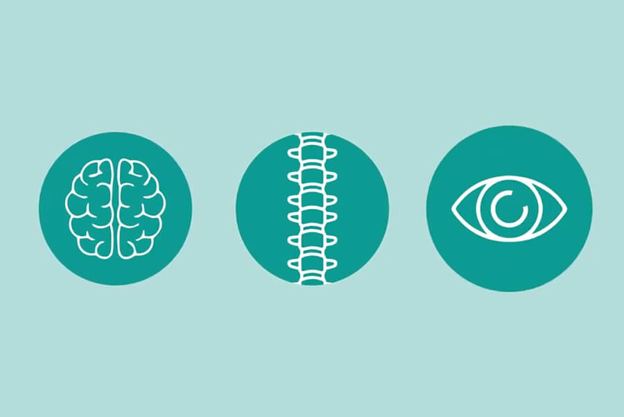 Dark teal icons on a light teal background.