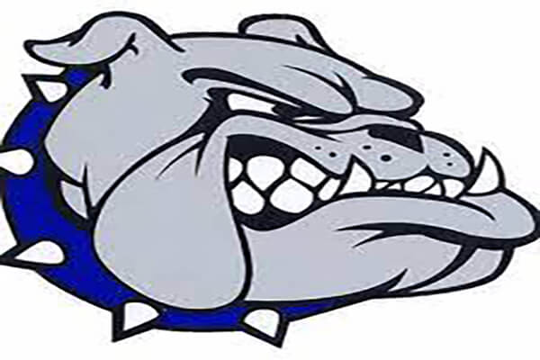 Albemarle High School Logo