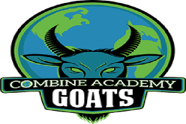 Combine Academy High School Logo