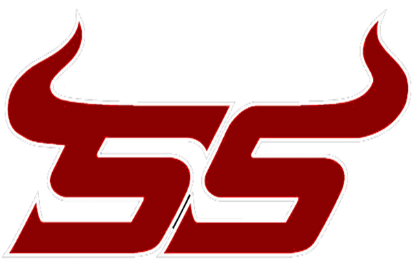 South Stanly High School Logo
