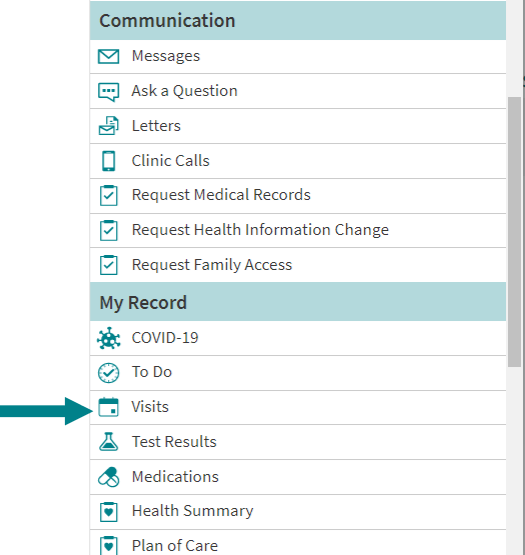 Arrow pointing to the Visits menu item.