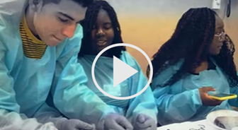 High School Resources Video