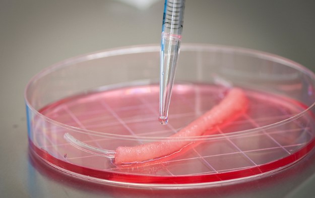 Regenerative Medicine Breakthrough