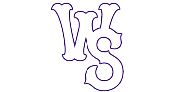 Winston Salem Dash Logo