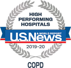 High Performing Indicator - COPD