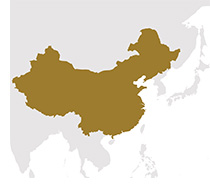 Map of China icon