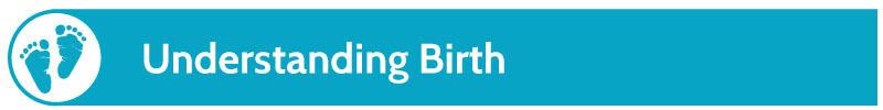 Understanding Birth.