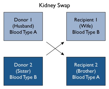 Living Donor Kidney Swap