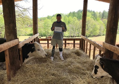 Mark, trauma survivor, with his cows.