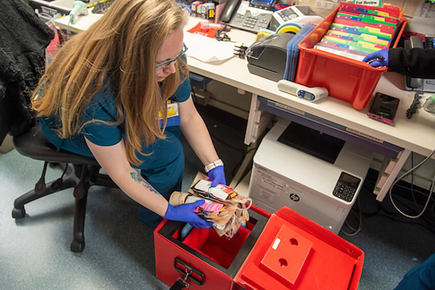 A woman in gray scrubs handles medical samples, putting them in a red box.
