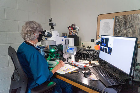 A scientist wearing scrubs and a mask examining a cell sample under a microscope.