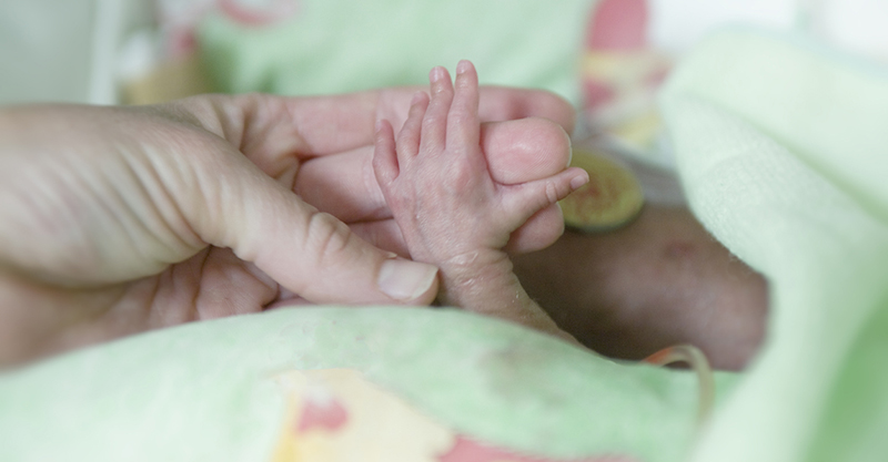 An adult handholds a preemie's hand against a green blanket