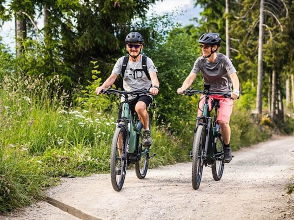 Pair of Electric bikes