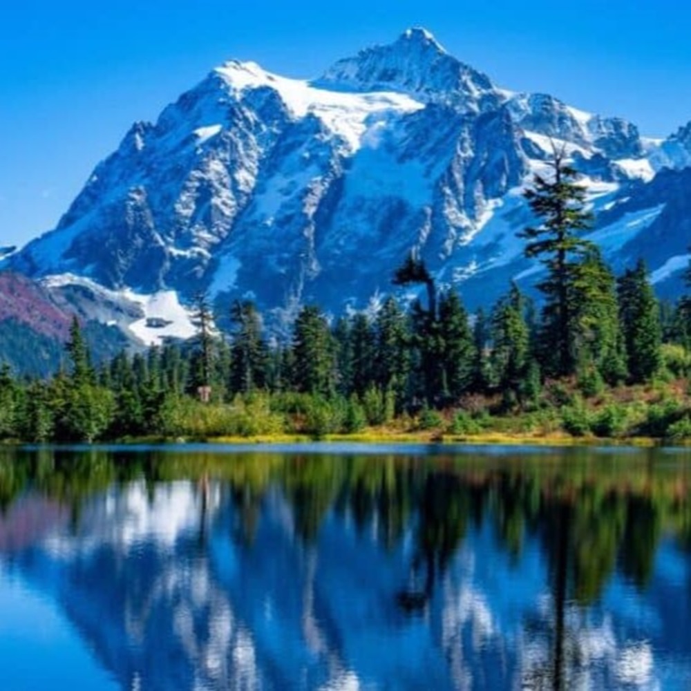 Great Outdoors
