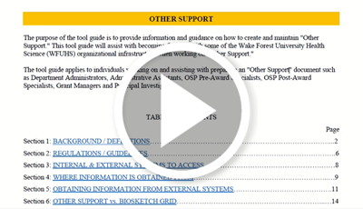OSP Minute: Other Support
