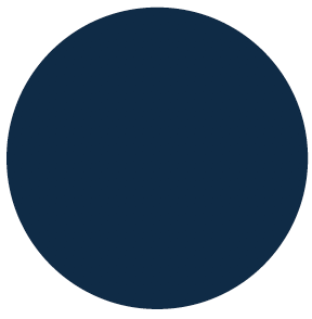 Navy circle icon