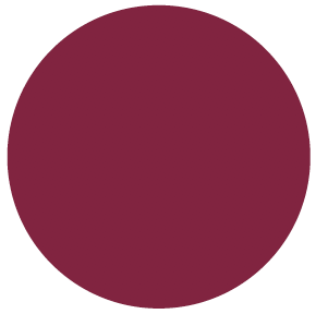 Dark fuchsia circle icon