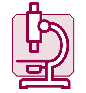 Dark fuchsia line illustration of a microscope