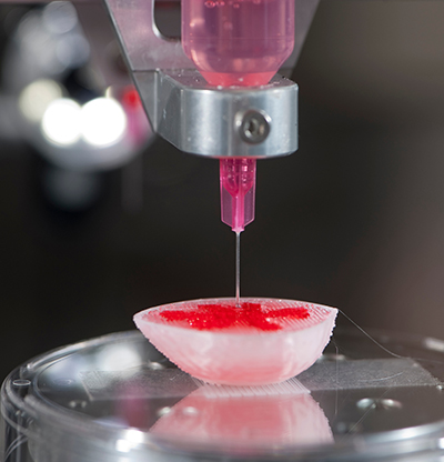 A machine injects a pinl liquid into a flower-shaped organ scaffold