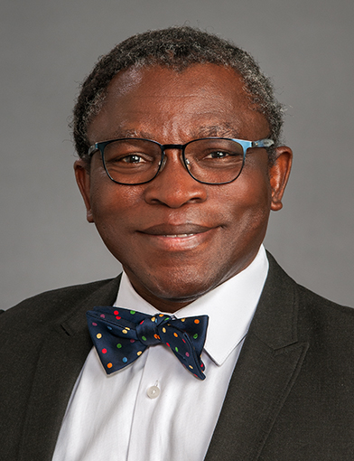 Adebola Alade Adedimeji, MPH, PhD, MBA, MS