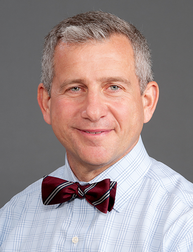 David Michael Stamilio, MD, MS