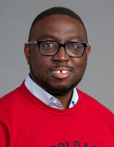 Llewellyn Fiifi Bortsi Mensah, MD