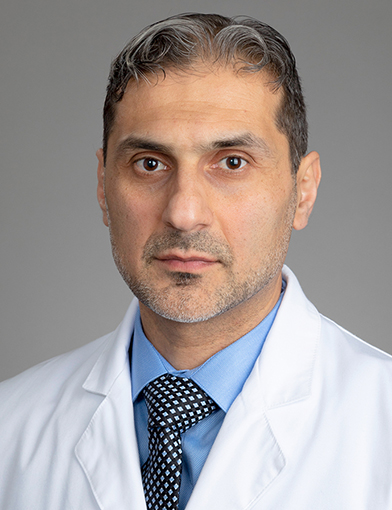 Seyed Shahmehdi, MD