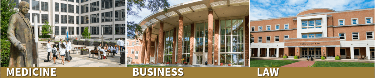 A graphic with three images of the outside of buildings and a gold banner on the bottom with the words "medicine, business and law".