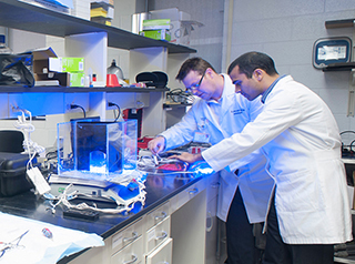 Mechanism Lab Pain Mechanisms Lab - Wake Forest School of Medicine | Wake Forest ...