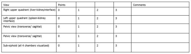 ultrasound curriculum appendix 2 fast exam