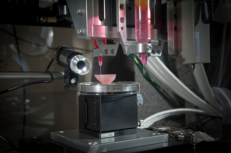 An example of a 3D kidney construct platform.