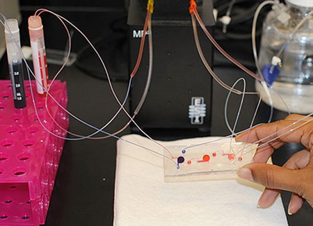 A female hand holds a clear slide with orange blots on it and wires connecting it to test tubes in a tray
