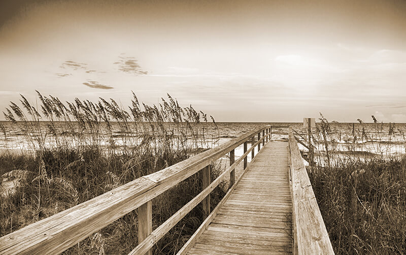 A black and white photo of the beach.